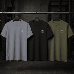 Men's Basic Tee Variety 3-Pack Shirt The Lift Box 