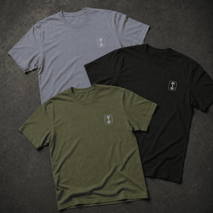 Men's Basic Tee Variety 3-Pack Shirt The Lift Box 